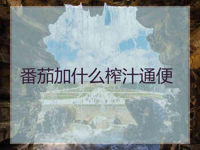 番茄加什么榨汁通便