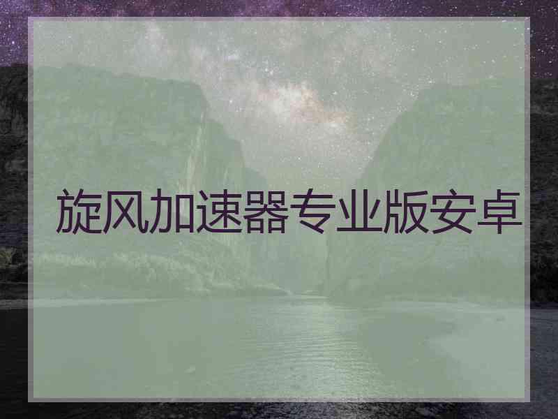 旋风加速器专业版安卓