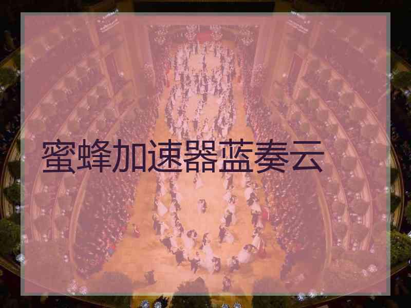 蜜蜂加速器蓝奏云