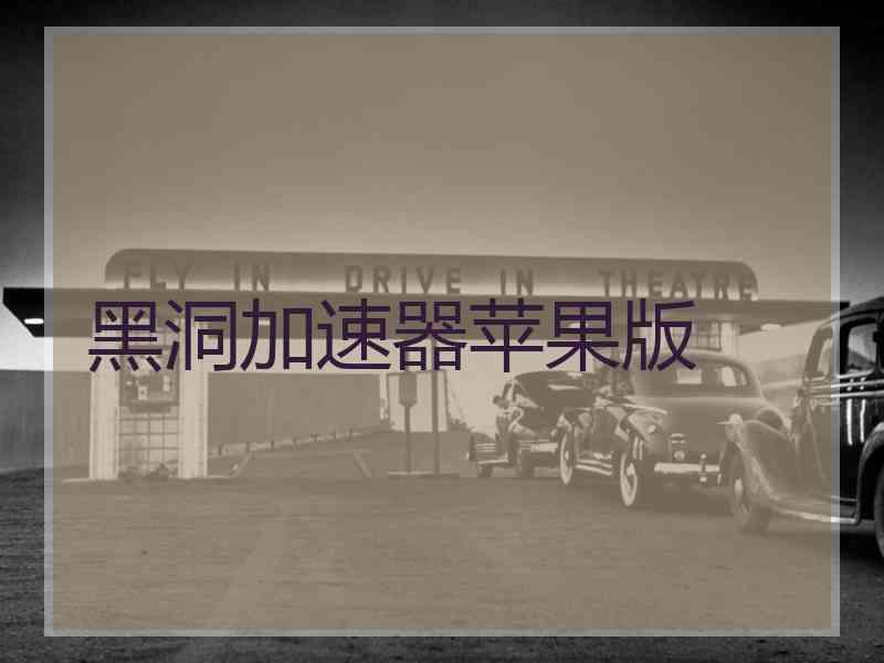 黑洞加速器苹果版