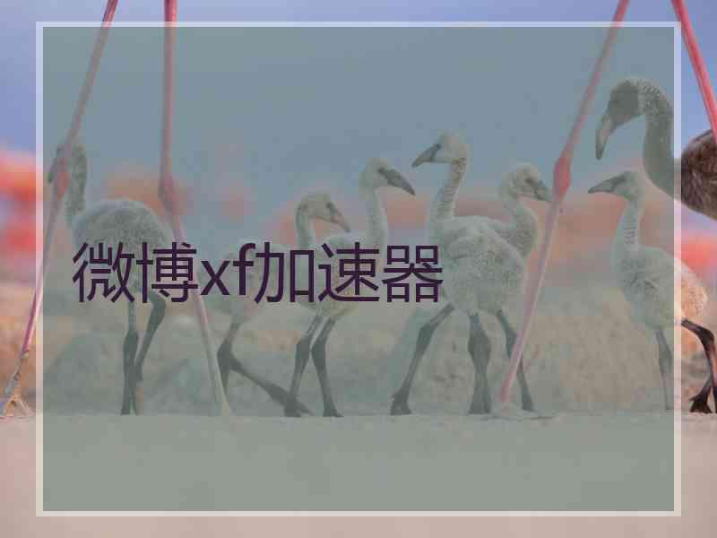 微博xf加速器