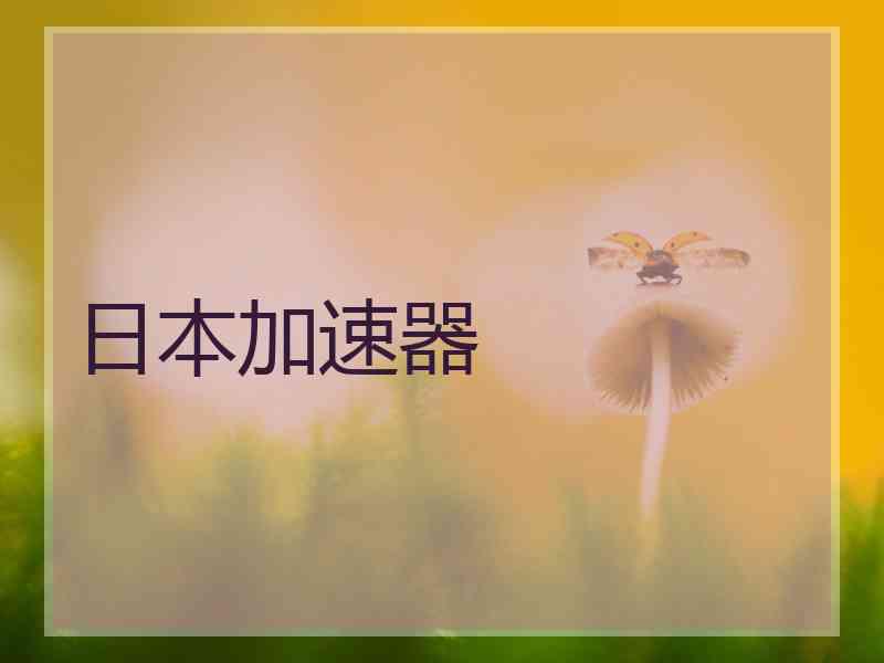 日本加速器