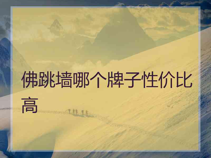 佛跳墙哪个牌子性价比高