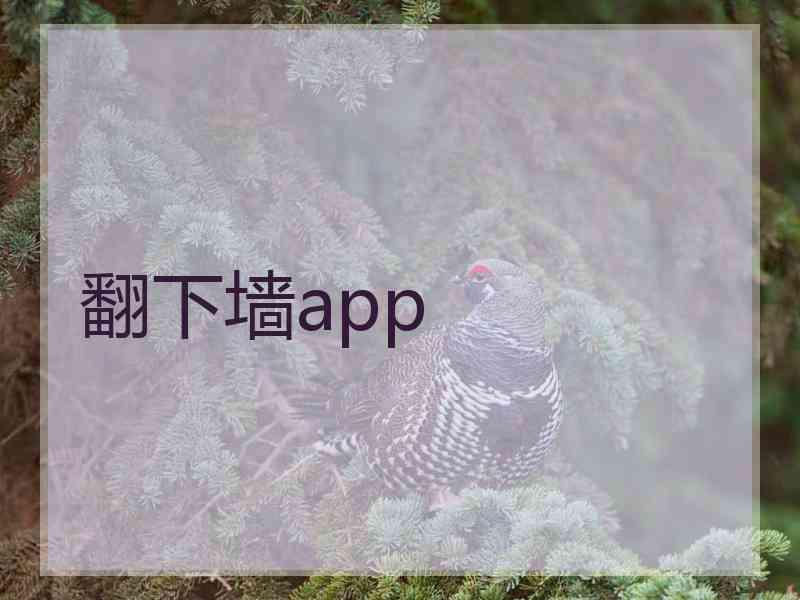 翻下墙app