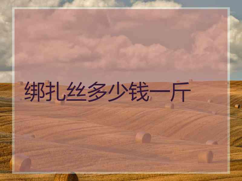 绑扎丝多少钱一斤