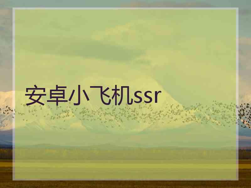 安卓小飞机ssr