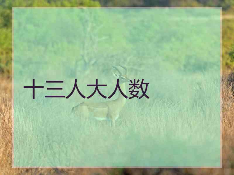 十三人大人数