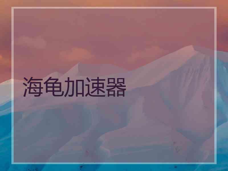 海龟加速器