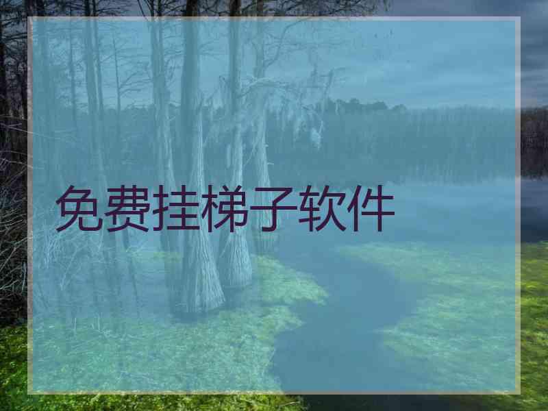 免费挂梯子软件