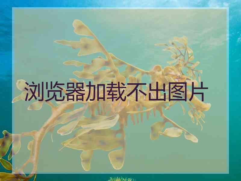 浏览器加载不出图片