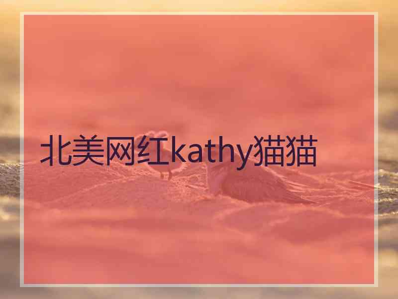 北美网红kathy猫猫