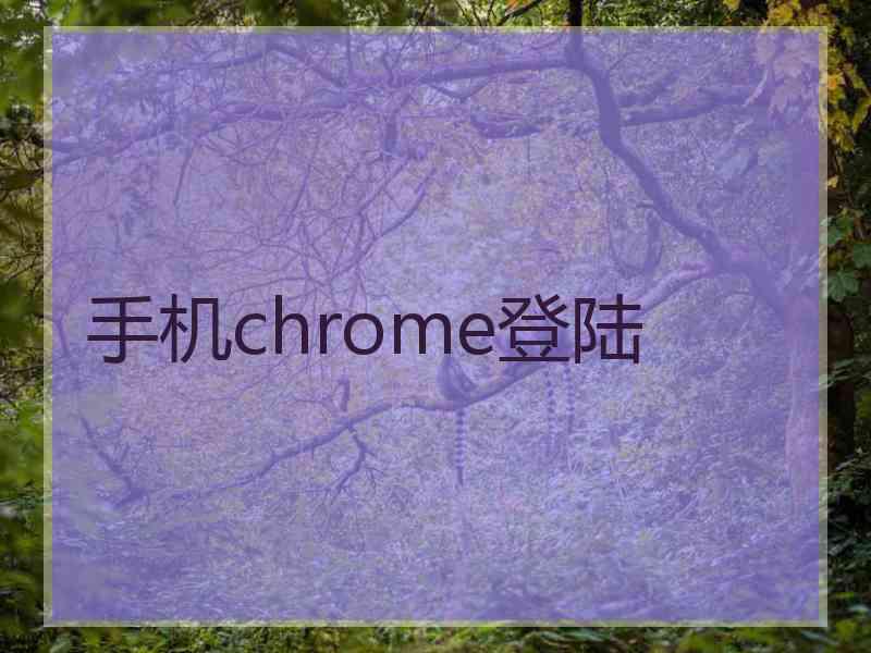 手机chrome登陆