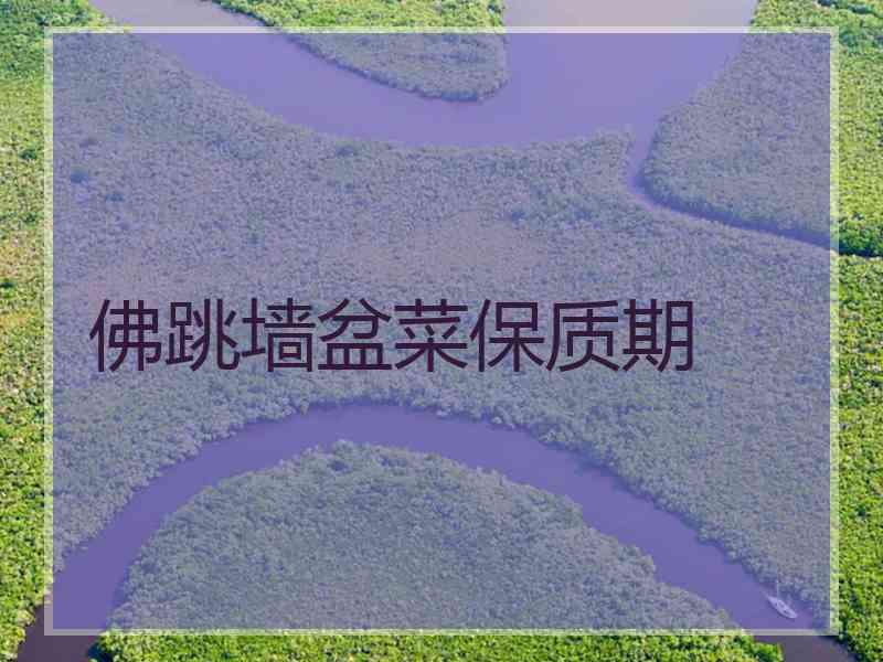 佛跳墙盆菜保质期