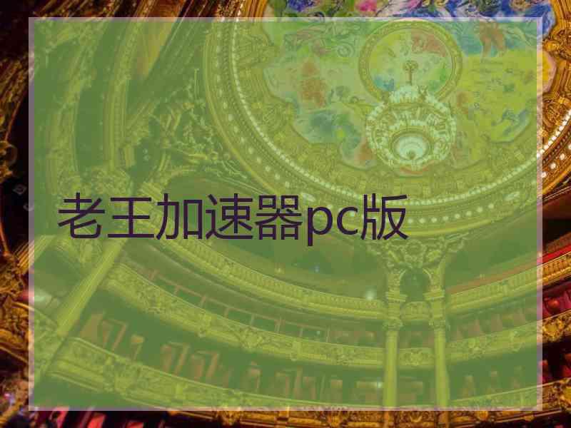 老王加速器pc版