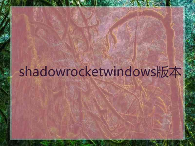 shadowrocketwindows版本