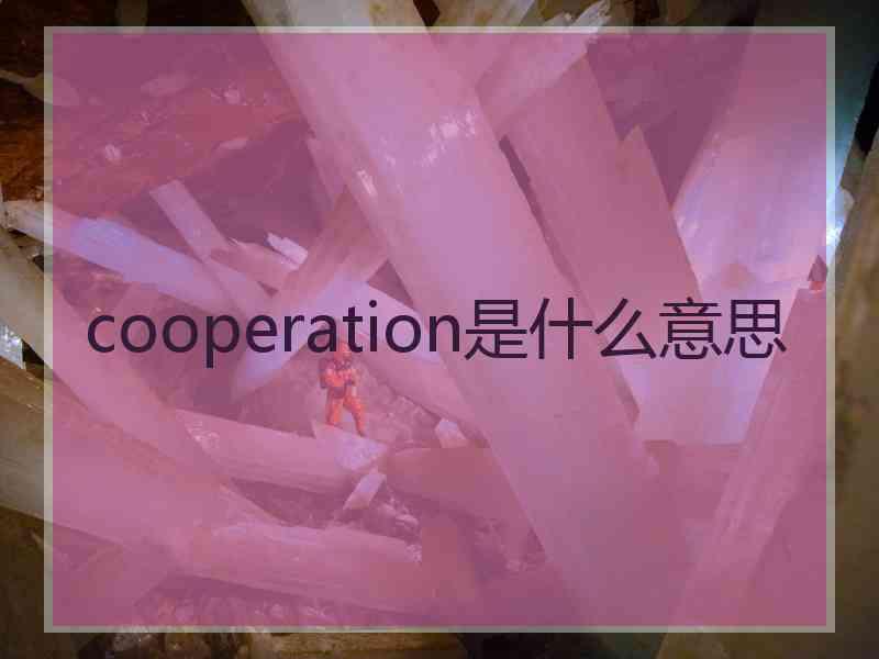cooperation是什么意思