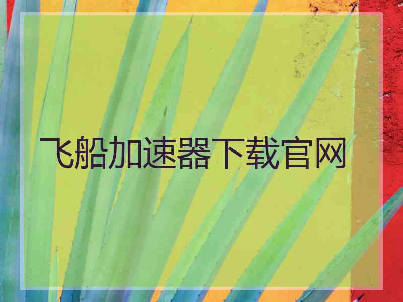 飞船加速器下载官网