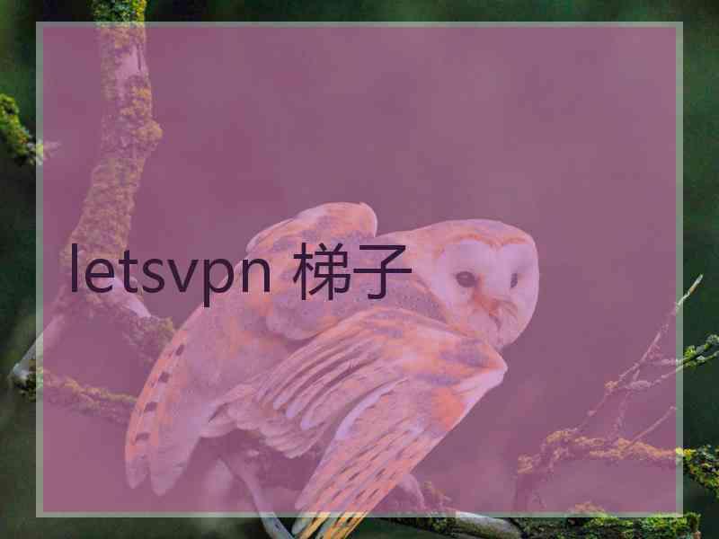 letsvpn 梯子