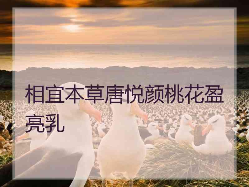 相宜本草唐悦颜桃花盈亮乳