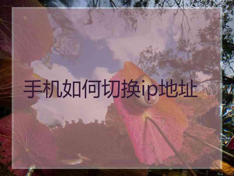 手机如何切换ip地址