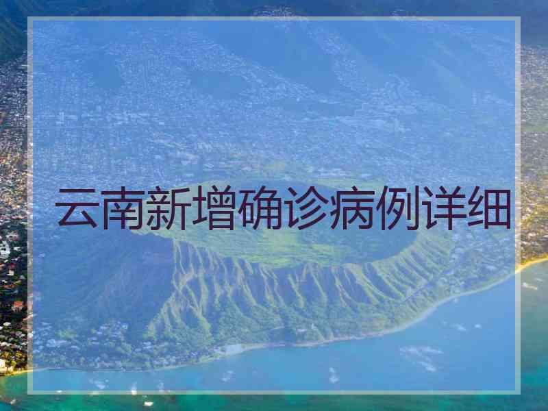 云南新增确诊病例详细