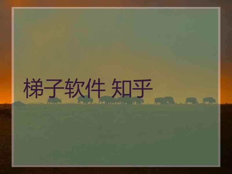 梯子软件 知乎