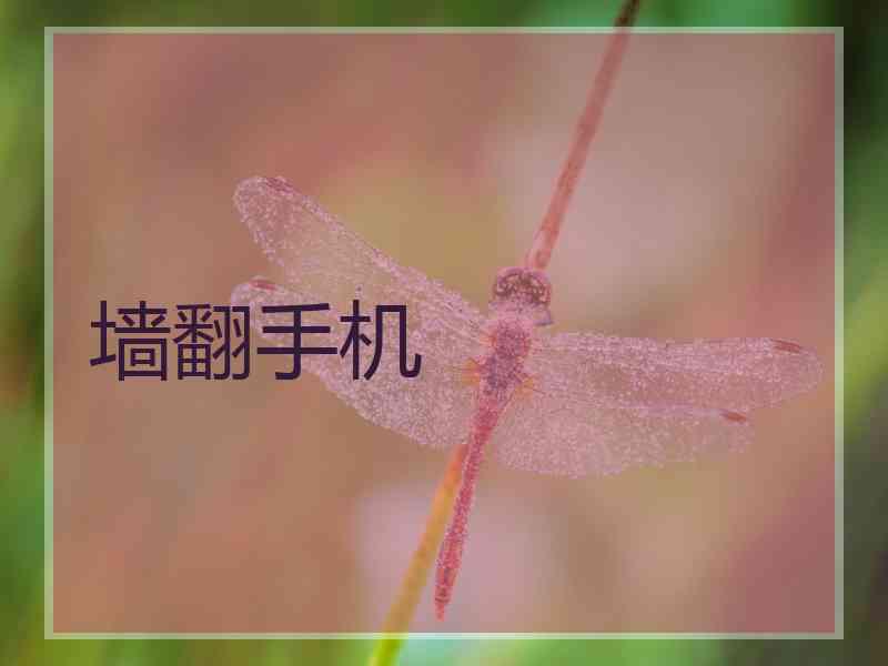墙翻手机