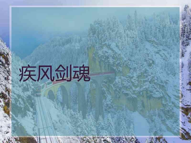 疾风剑魂