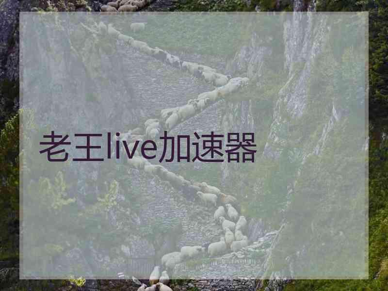 老王live加速器