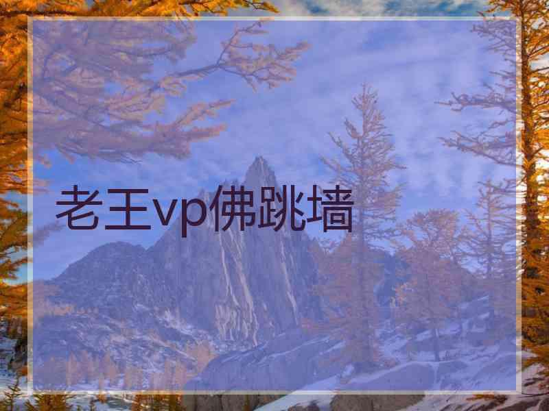 老王vp佛跳墙