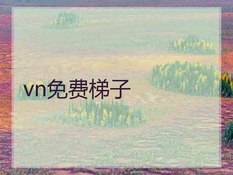 vn免费梯子