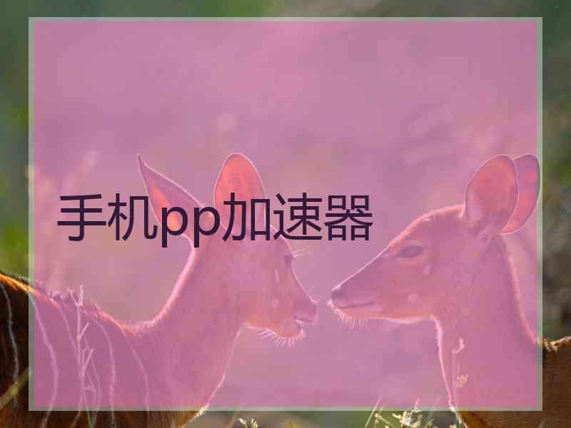 手机pp加速器