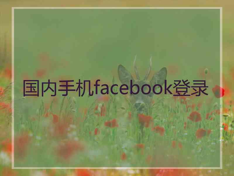 国内手机facebook登录