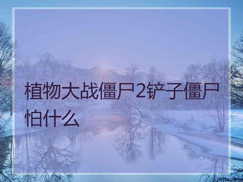 植物大战僵尸2铲子僵尸怕什么