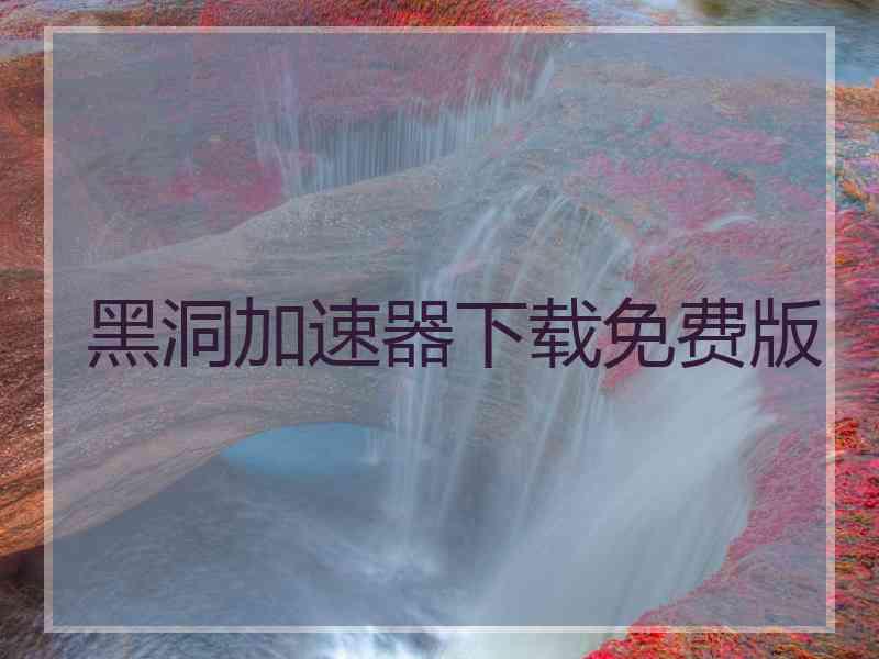黑洞加速器下载免费版