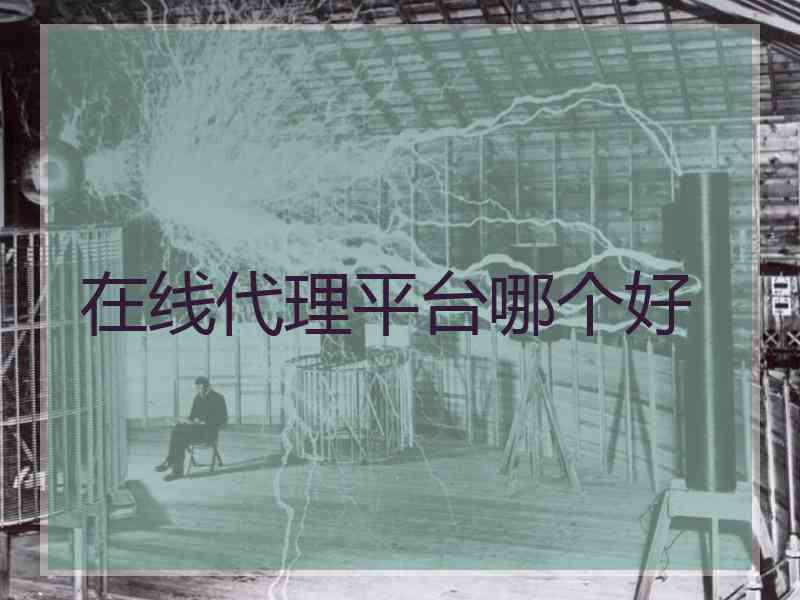 在线代理平台哪个好