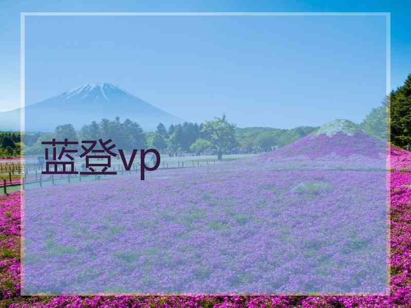 蓝登vp