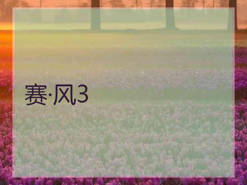 赛·风3