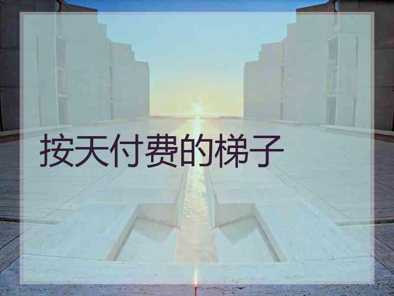 按天付费的梯子