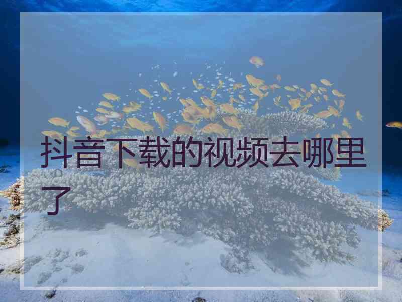抖音下载的视频去哪里了