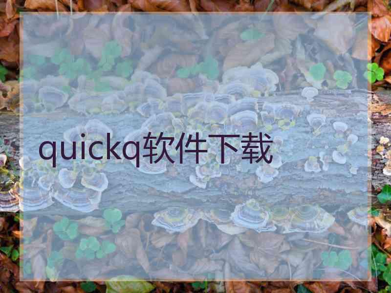 quickq软件下载