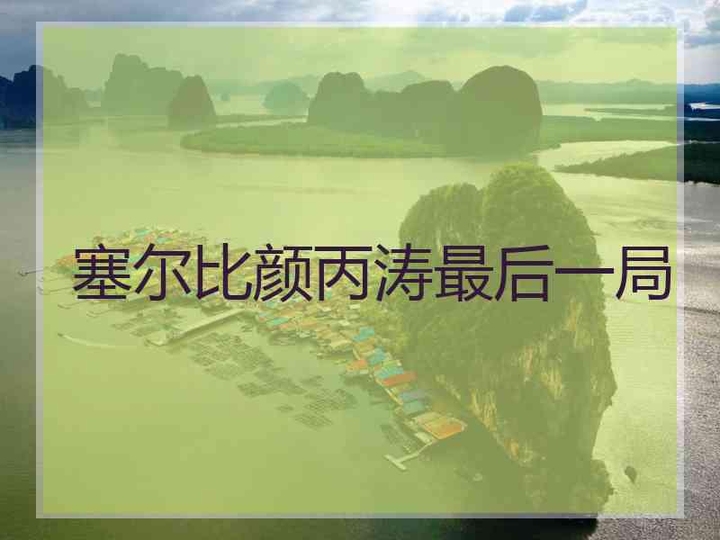 塞尔比颜丙涛最后一局