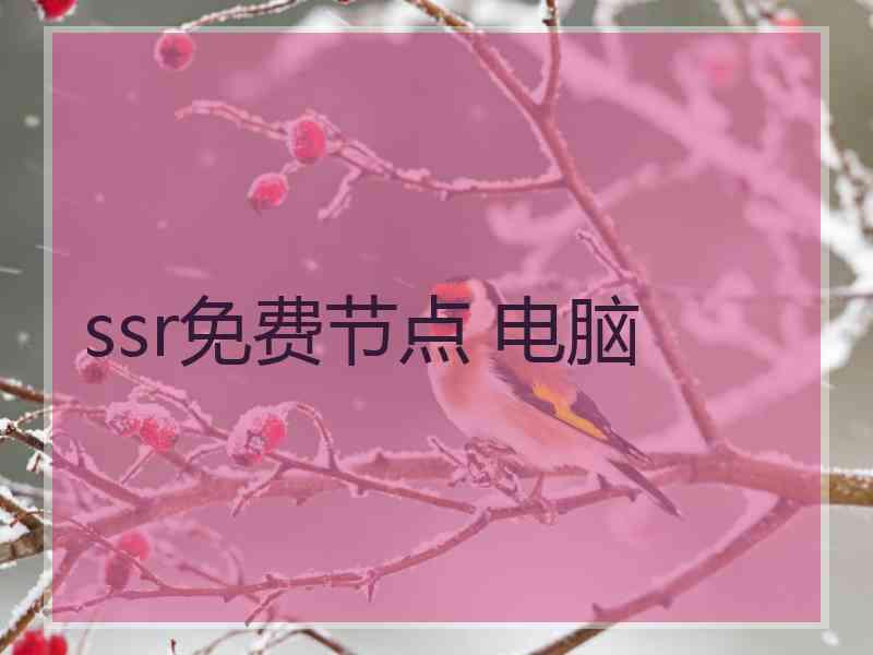 ssr免费节点 电脑