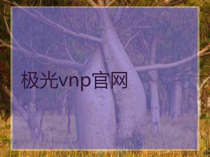 极光vnp官网