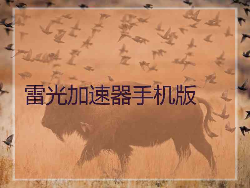 雷光加速器手机版