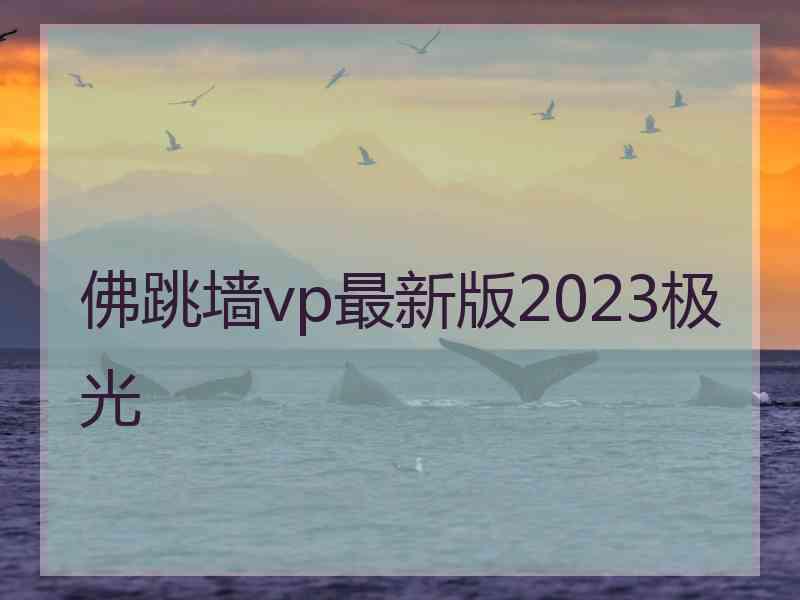 佛跳墙vp最新版2023极光