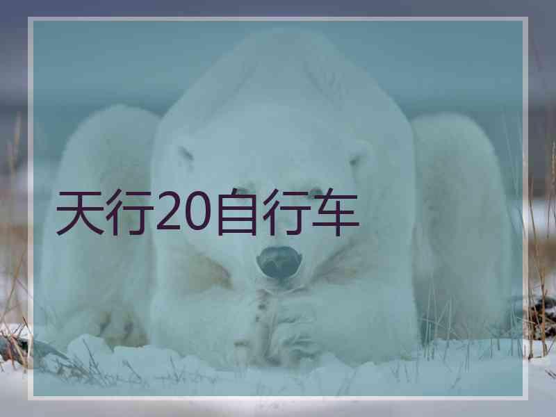 天行20自行车