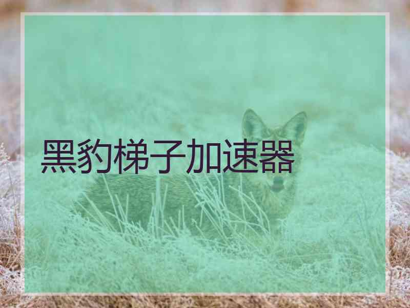 黑豹梯子加速器