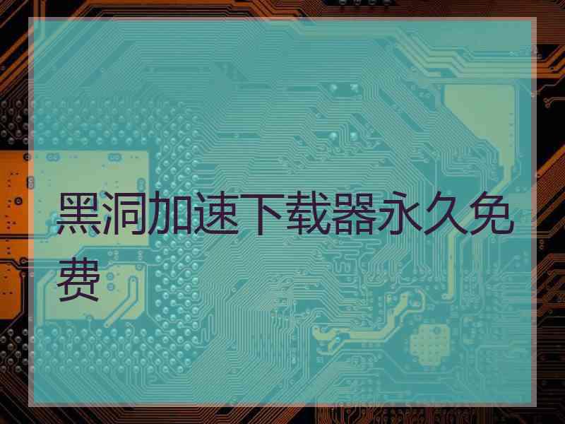 黑洞加速下载器永久免费