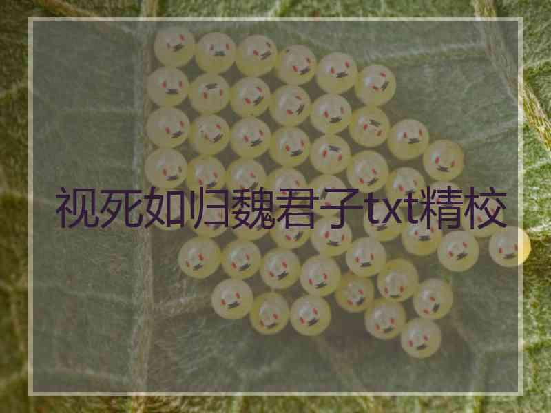 视死如归魏君子txt精校